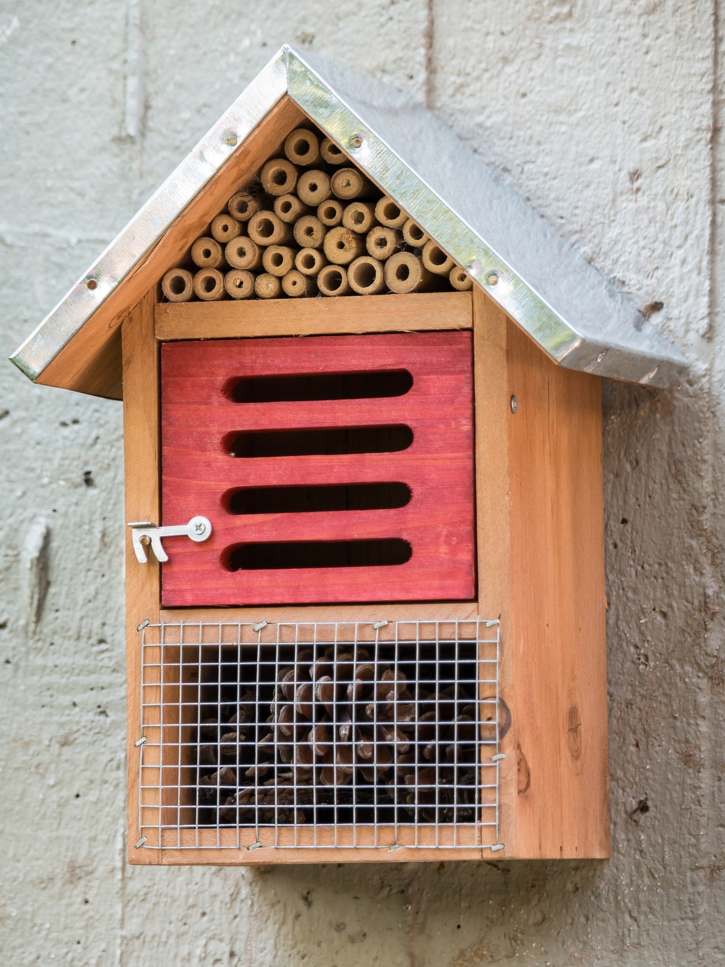 Costruisci una casa per gli insetti utili fito for Costruisci case