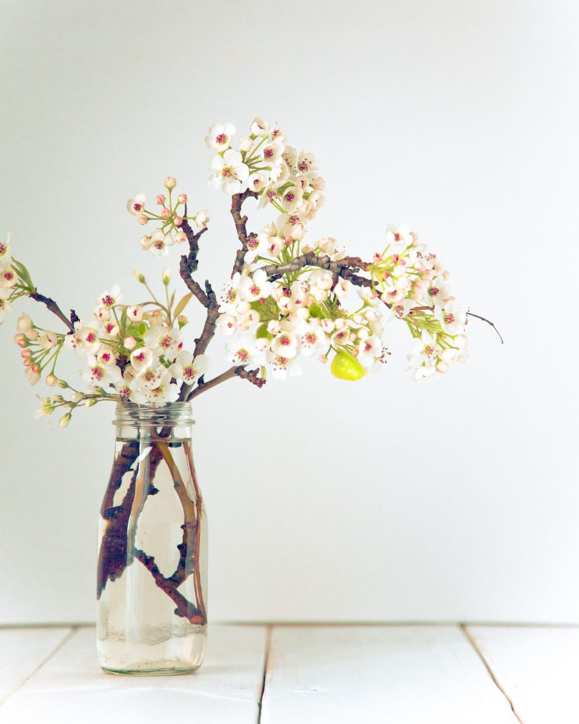 Le composizioni floreali giapponesi dell’Ikebana Fito Le composizioni floreali giapponesi dell’Ikebana Fito