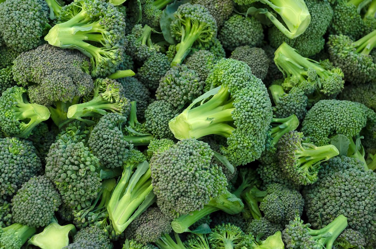 Come Coltivare I Broccoli Fito come-coltivare-i-broccoli-fito