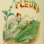 I fiori di Illustrati di JJ Grandville