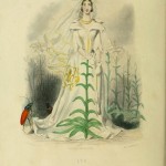 I fiori di Illustrati di JJ Grandville