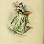 I fiori di Illustrati di JJ Grandville