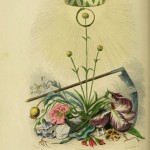 I fiori di Illustrati di JJ Grandville