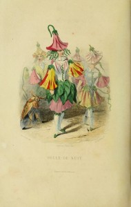 i fiori di Illustrati di JJ Grandville