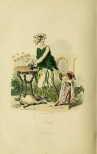 I fiori di Illustrati di JJ Grandville