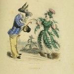 I fiori di Illustrati di JJ Grandville