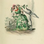 I fiori di Illustrati di JJ Grandville