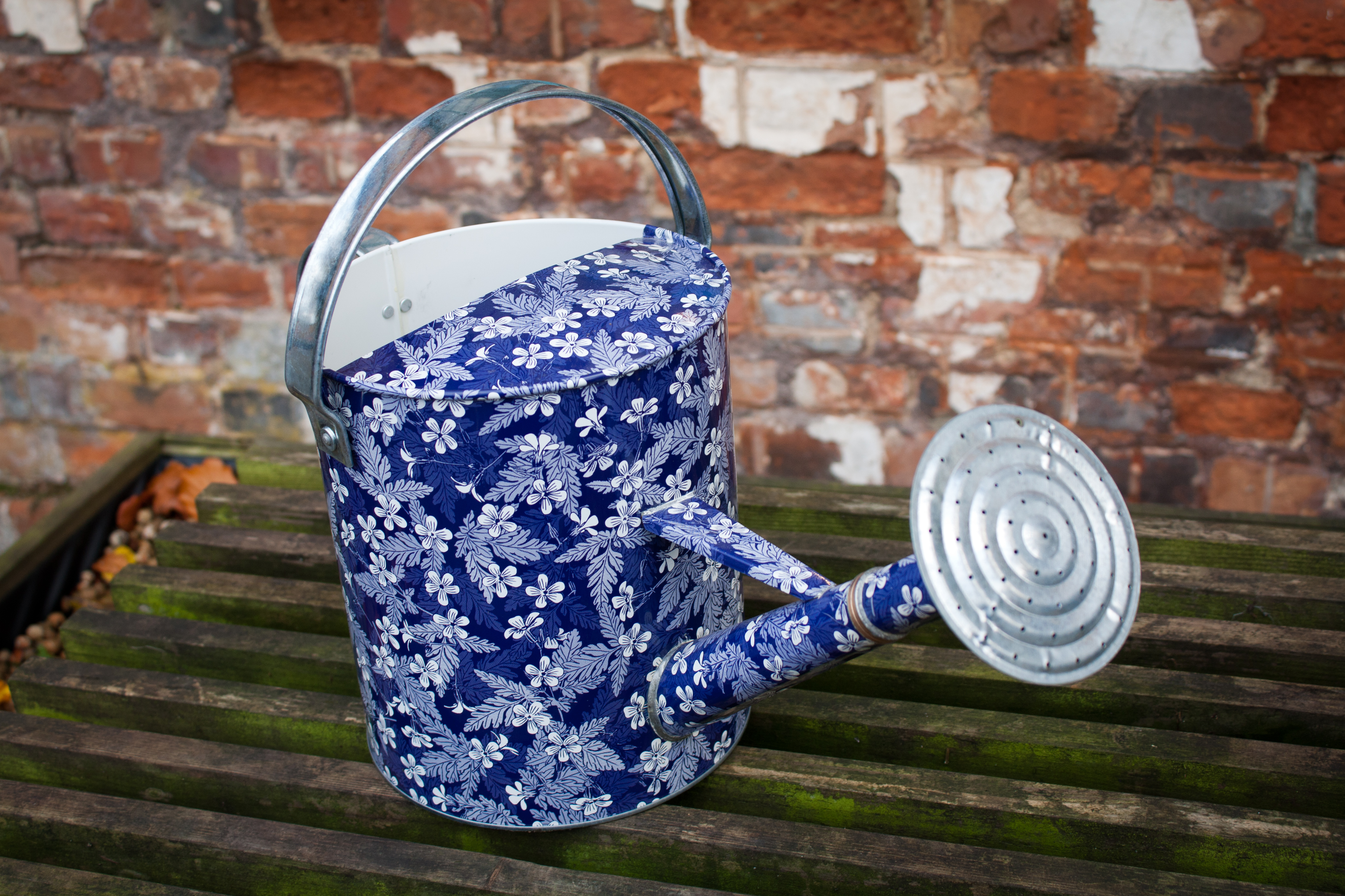 Decorative_Watering_Can_(6320010953) Fito