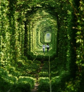 Tunnel dell’Amore, Romania, Carras-Severin