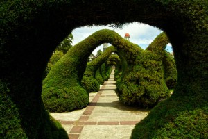 parque-francisco-alvarado-costa-rica