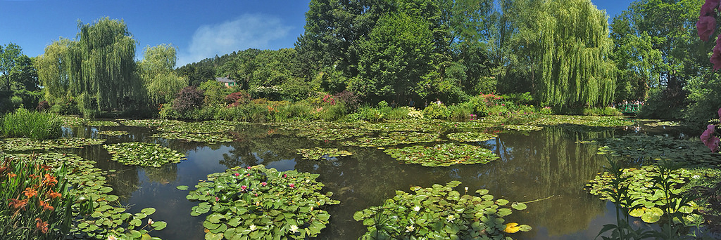 Lago con ninfee nel giardino giverny