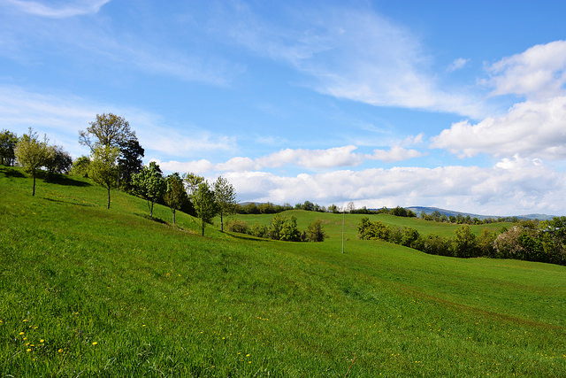 Parco del frignano