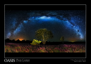 Oasis photo contest first place