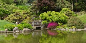 Brooklyn Botanic Garden, New York