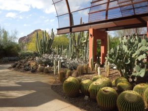 Desert Botanical Gardens, Phoenix