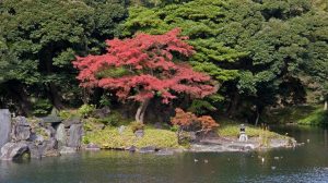 Koishikawa Korakuen Gardens, Tokyo (Giappone)