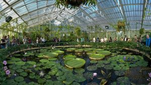 Kew Gardens, Londra (Inghilterra)