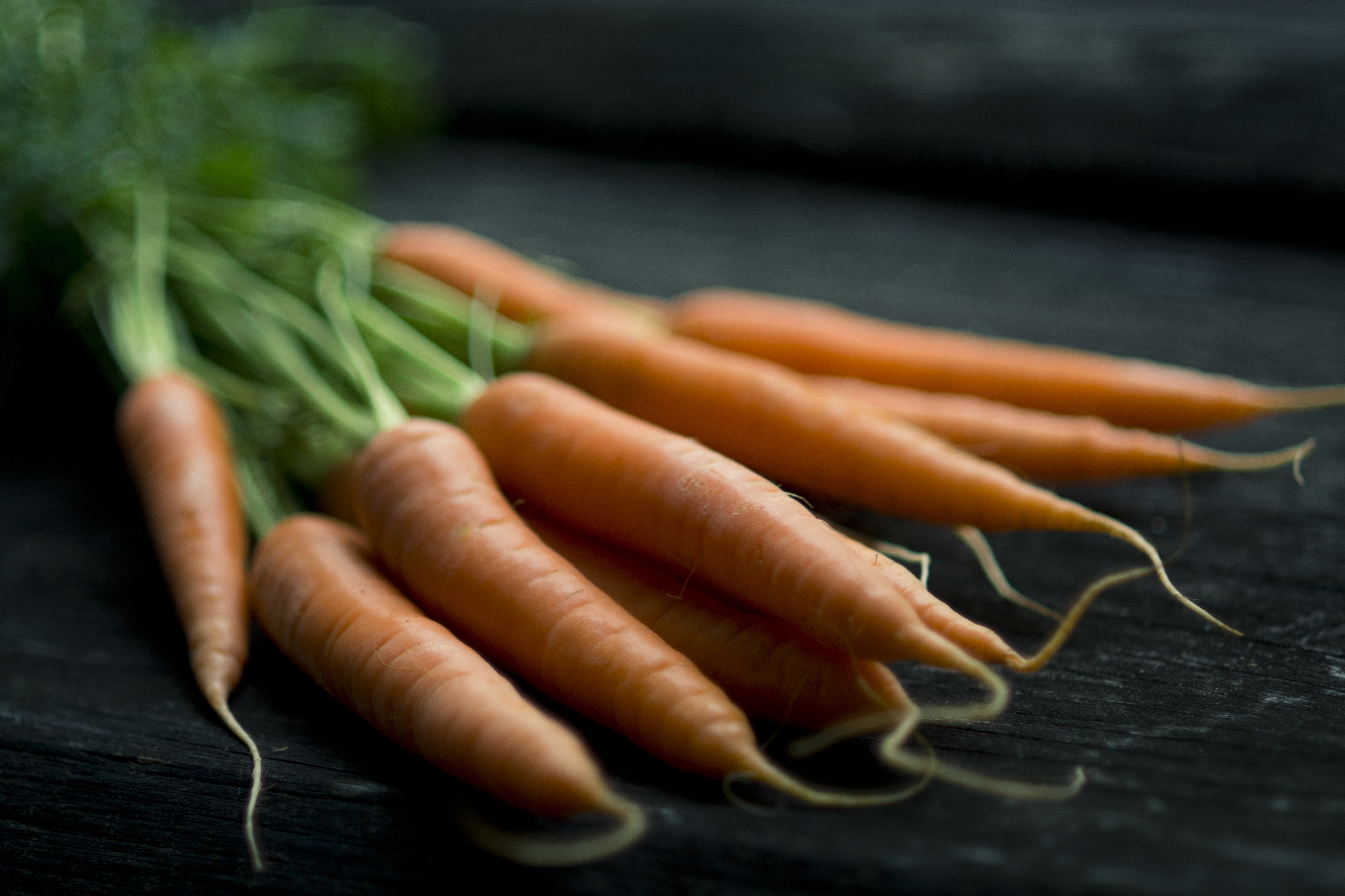 Gruppo di carote con radice