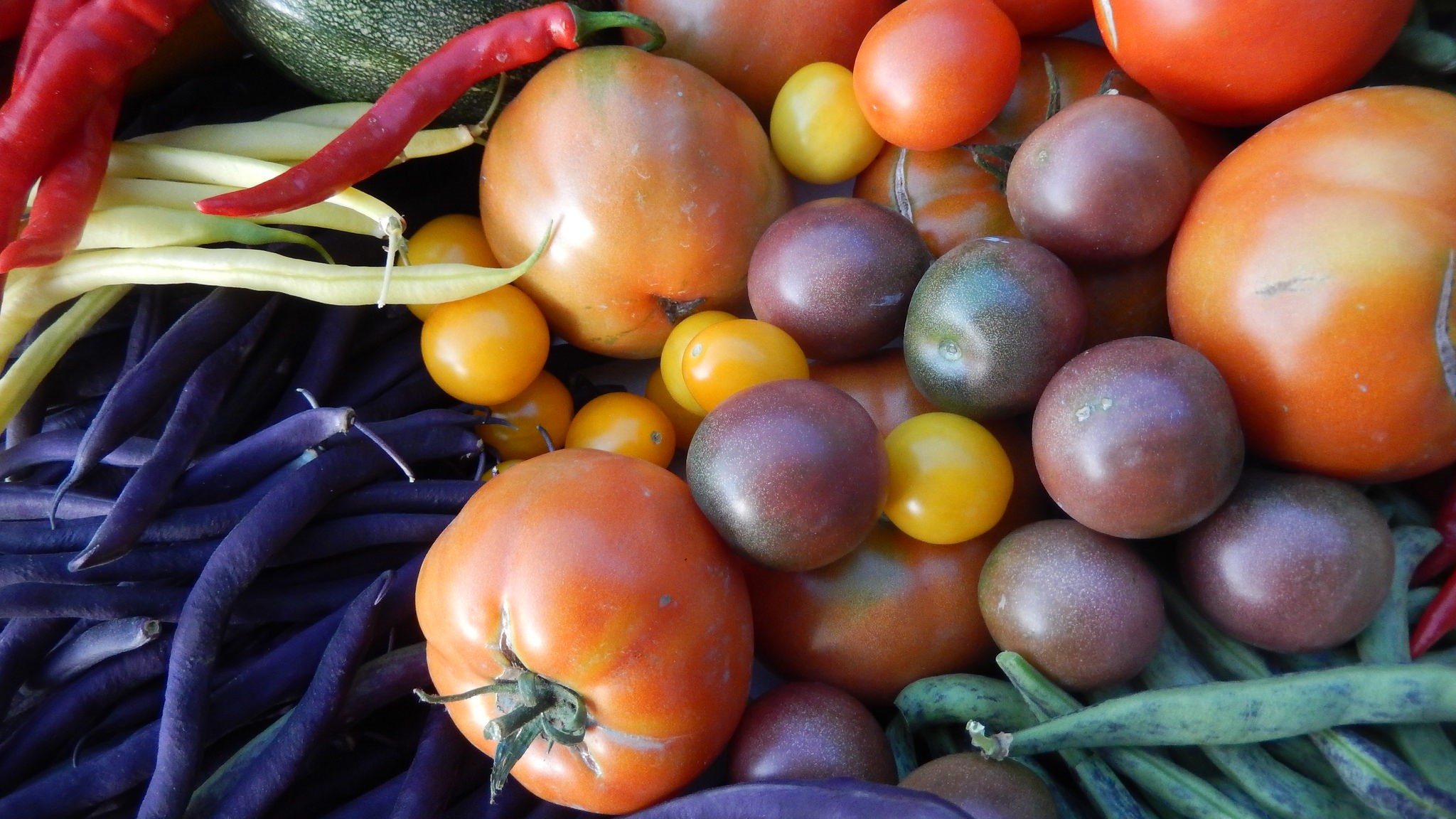 I lavori da fare nell'orto a settembre