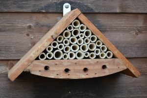 Come cotruire una casa per gli insetti utili