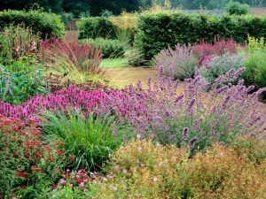 Una prateria bellissima. Meadow garden