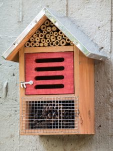 Come cotruire una casa per gli insetti utili