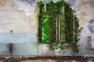 La natura incontra l'architettura di JAMES KERWIN PHOTOGRAPHIC 2016