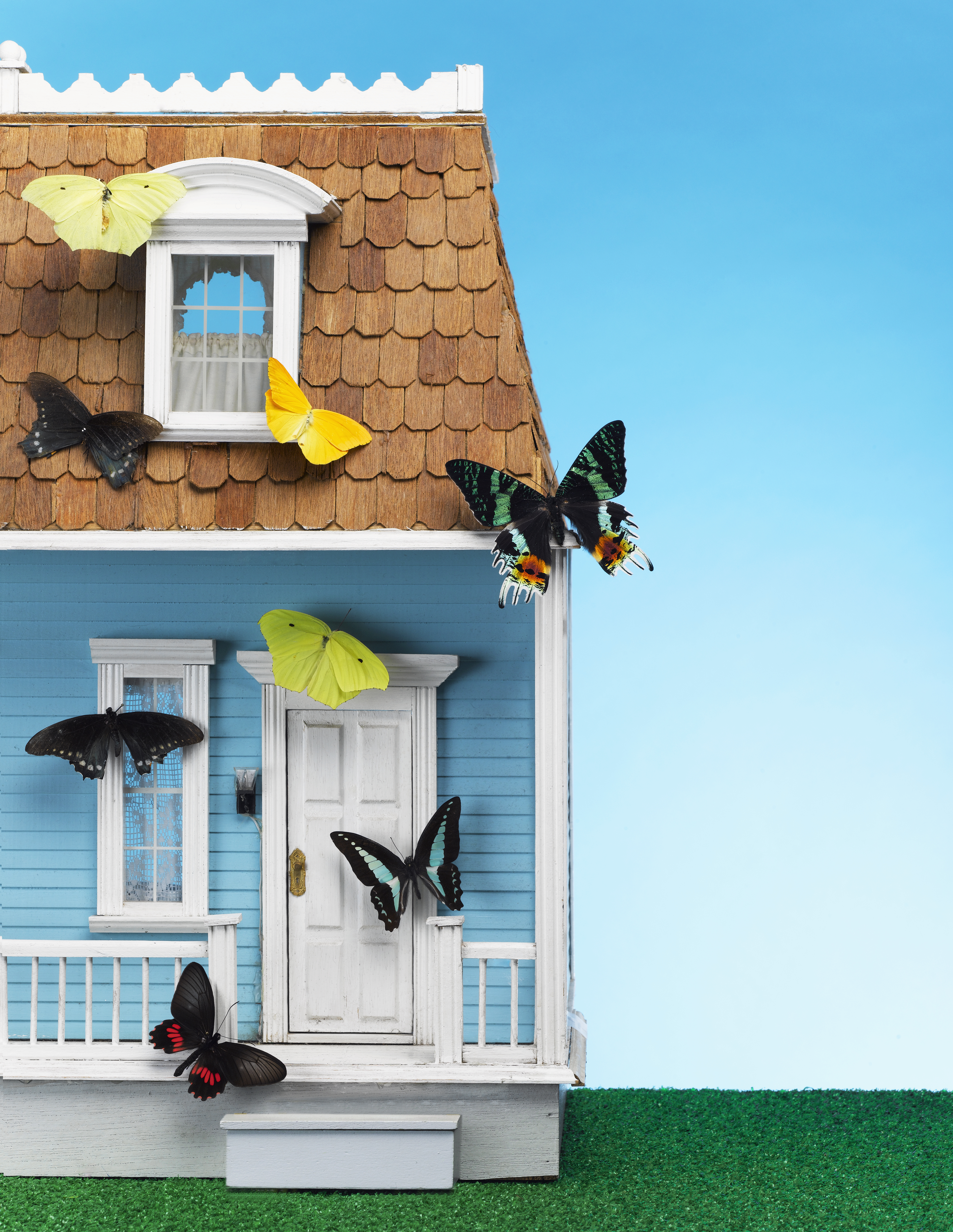 Butterflies on model house, close-up