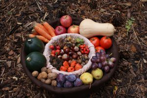 Ottobre che verdura si può coltivare nell'orto