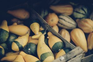 Diversi tipi di zucca