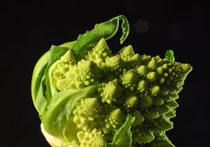 Broccolo romanesco, frattale