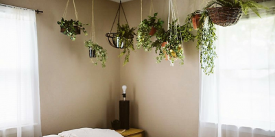 piante camere da letto