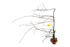 Ikebana l'arte giapponese 07