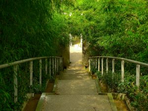 Bamboo Garden, Parc de la Villette Parigi