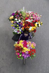 Loes Heerink, bici fiori vietnam 2