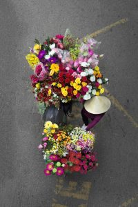 Loes Heerink, bici fiori vietnam 5