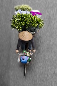 Loes Heerink, bici fiori vietnam 7