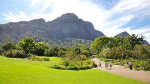 Kirstenbosch giardino botanico Cape Town
