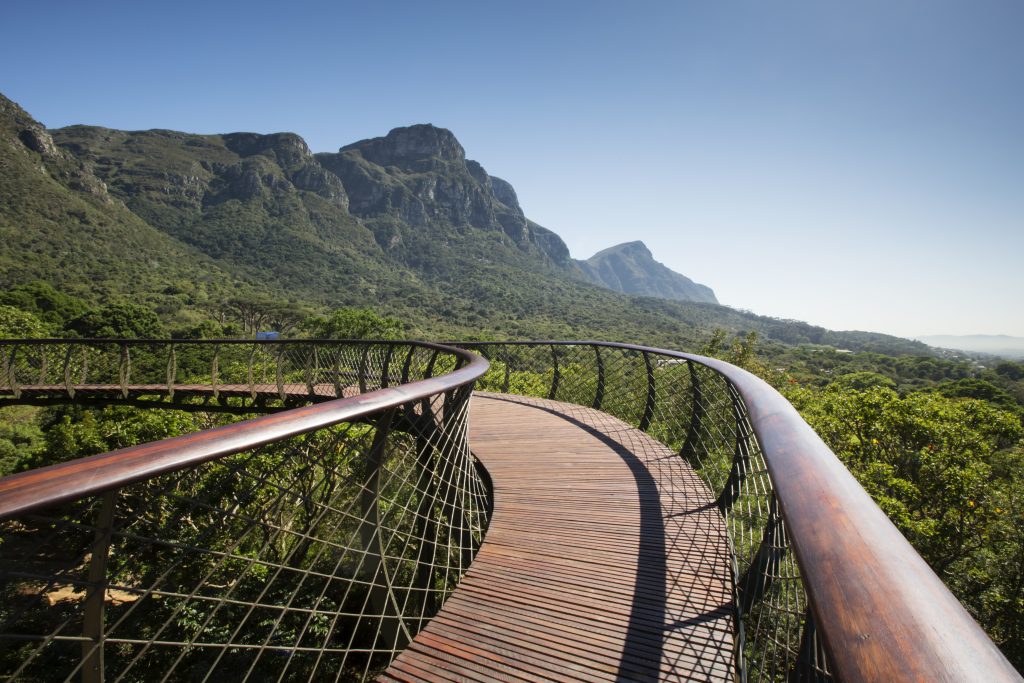 Botanical Garden Kirstenbosch