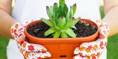 Il calendario dei lavori da fare a maggio in giardino