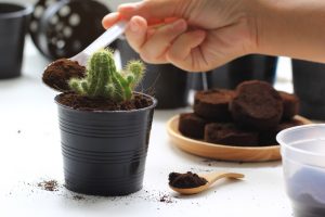 Fondi di caffè concime naturale per piante