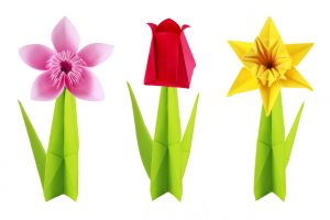 Origami fiori photo