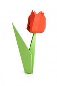 Origami tulipano fiore photo