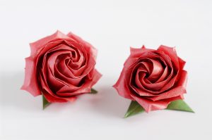 Origami Rosa photo