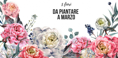 fiori da piantare a marzo