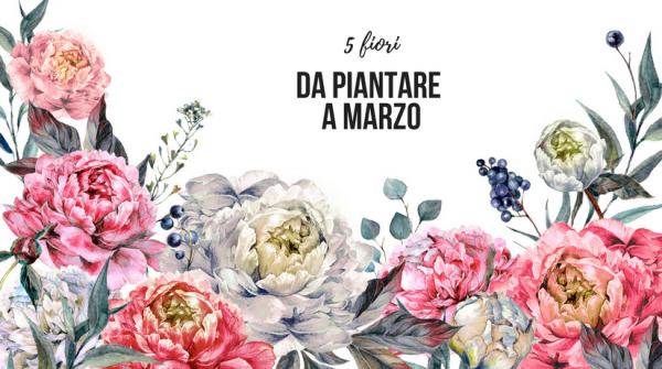 I 5 Fiori di primavera da piantare a marzo! | Fito