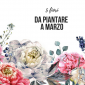 fiori da piantare a marzo