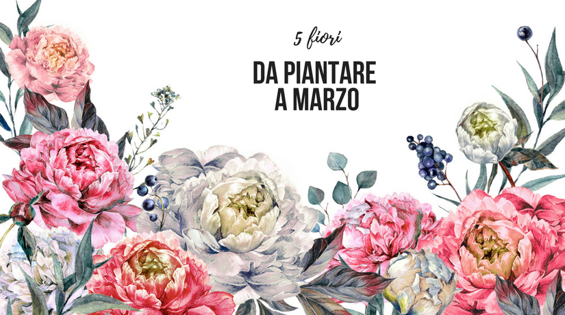 fiori da piantare a marzo