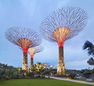 Gardens by the Bay, Singapore