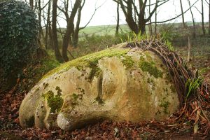 Lost Gardens of Heligan, Cornovaglia, Inghilterra